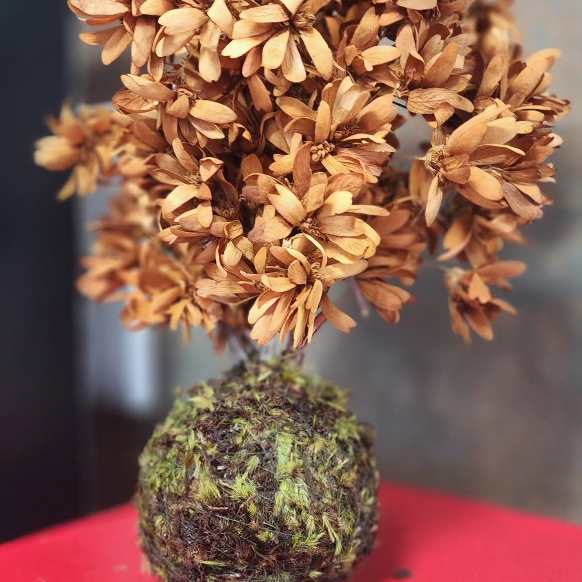 Kokedama Floral